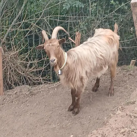 Semesterbostad Tour Avec Rooftop, Vue Mer, Sejour Insolite Entre Ciel Et