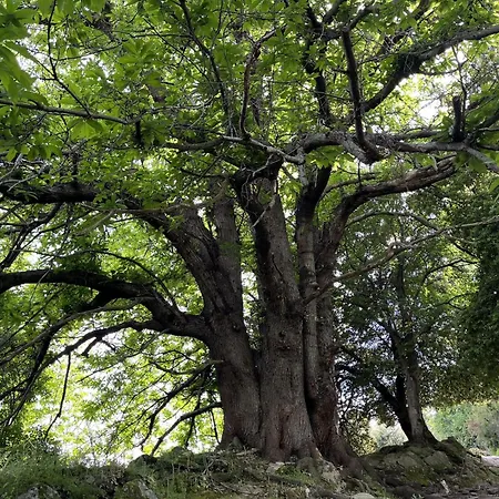 Semesterbostad Tour Avec Rooftop, Vue Mer, Sejour Insolite Entre Ciel Et