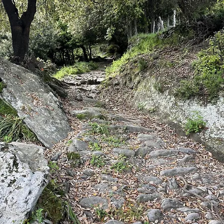 Tour Avec Rooftop, Vue Mer, Sejour Insolite Entre Ciel Et Semesterbostad *