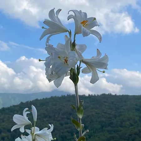 Tour Avec Rooftop, Vue Mer, Sejour Insolite Entre Ciel Et * Porri
