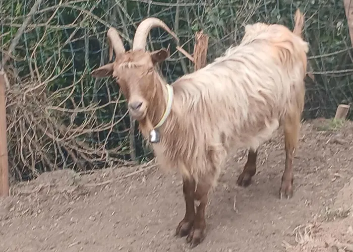 בית נופש Tour Avec Rooftop, Vue Mer, Sejour Insolite Entre Ciel Et