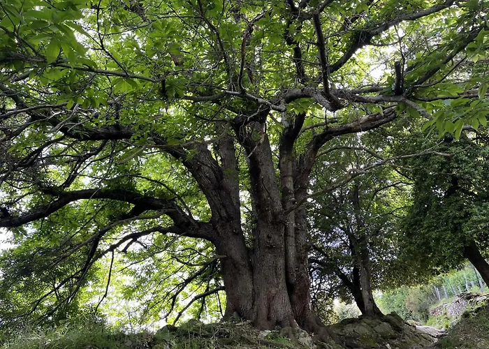 בית נופש Tour Avec Rooftop, Vue Mer, Sejour Insolite Entre Ciel Et