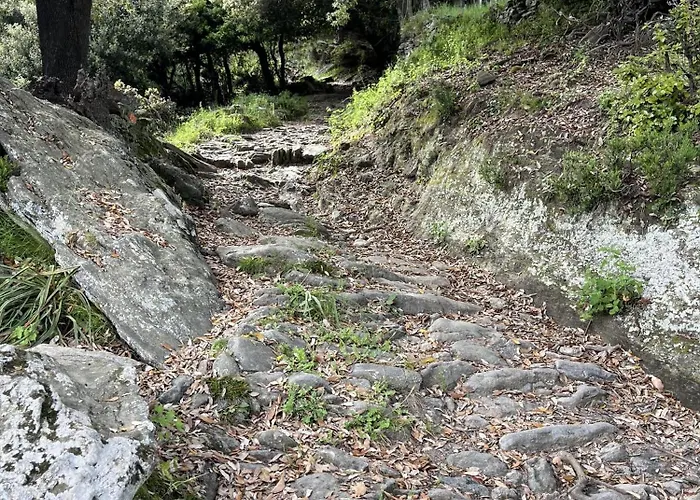 Tour Avec Rooftop, Vue Mer, Sejour Insolite Entre Ciel Et בית נופש *