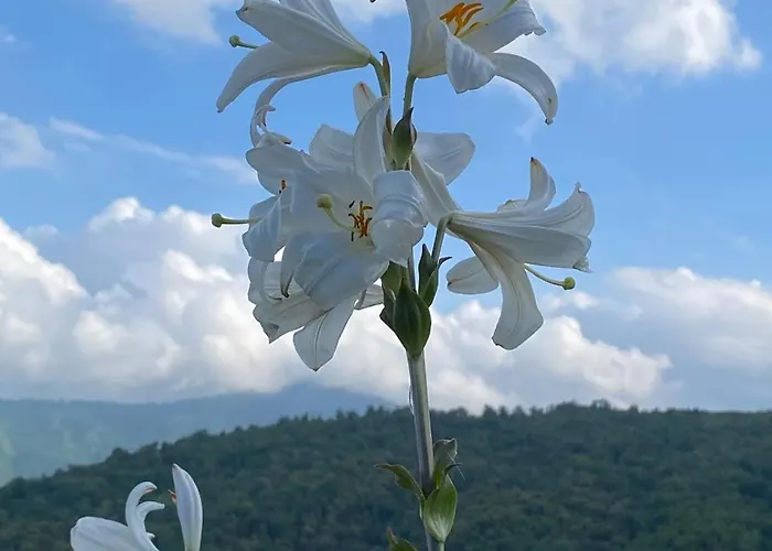 Tour Avec Rooftop, Vue Mer, Sejour Insolite Entre Ciel Et * Porri